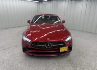2022 MERCEDES-BENZ CLS-Class E450 4MATIC